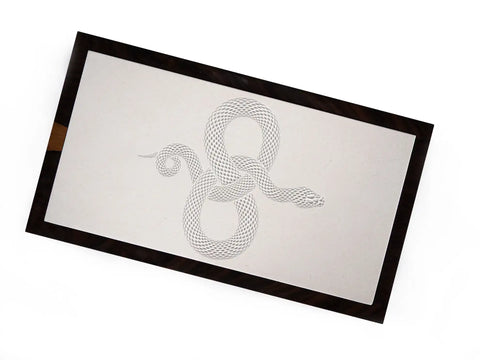 Desk Humidor " Snake " Limited Edition